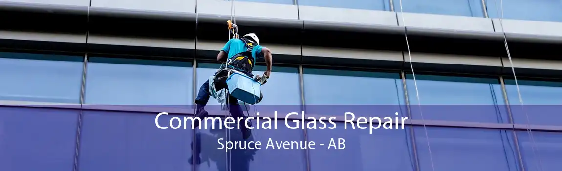Commercial Glass Repair Spruce Avenue - AB