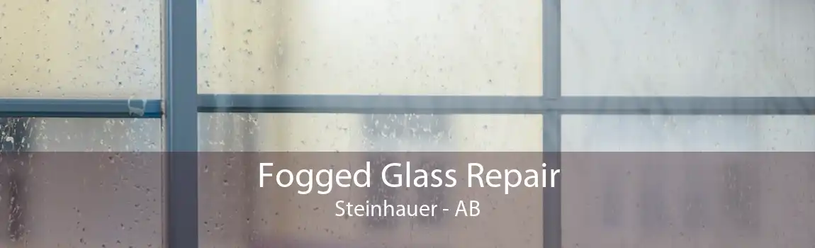 Fogged Glass Repair Steinhauer - AB