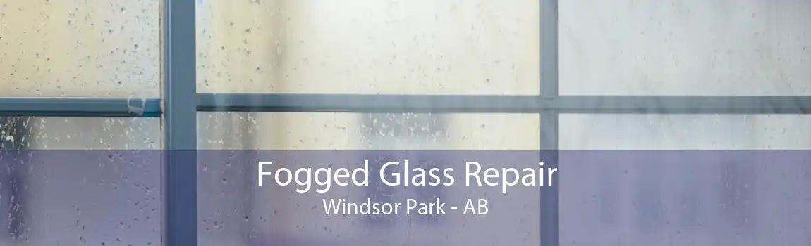 Fogged Glass Repair Windsor Park - AB