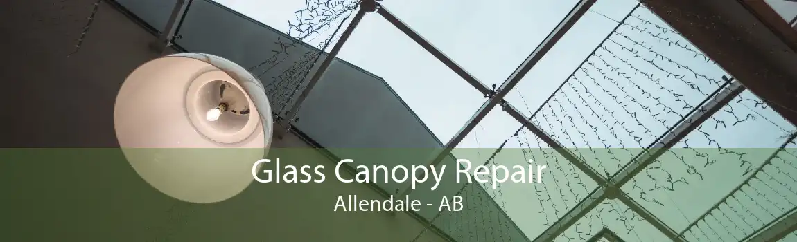 Glass Canopy Repair Allendale - AB