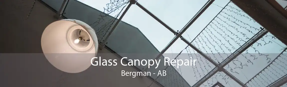 Glass Canopy Repair Bergman - AB