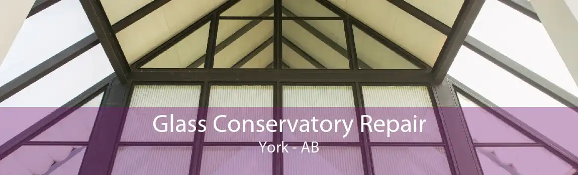 Glass Conservatory Repair York - AB