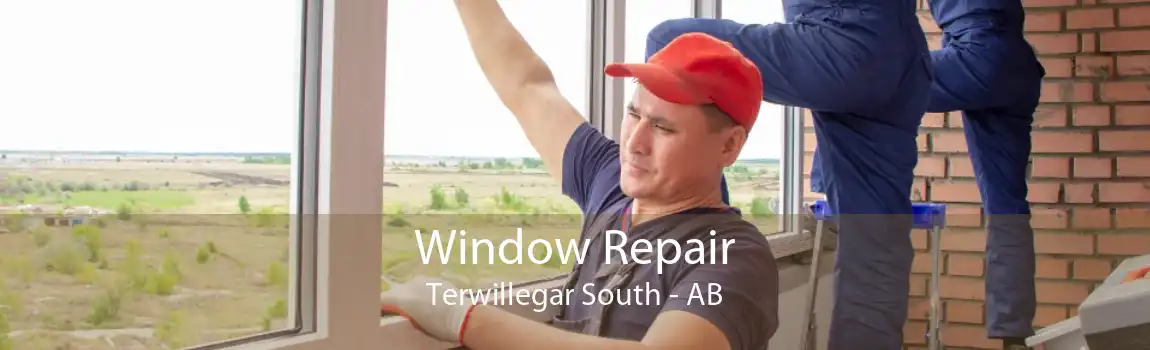 Window Repair Terwillegar South - AB