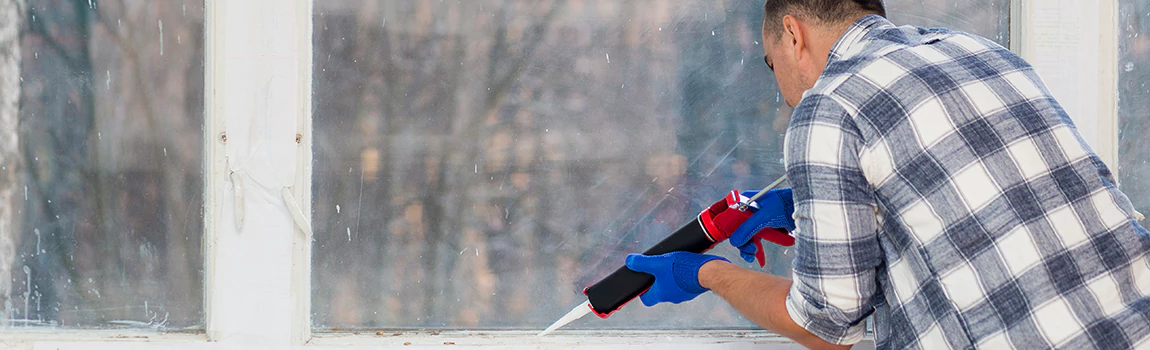 Foggy Window Repair Services in Wellington