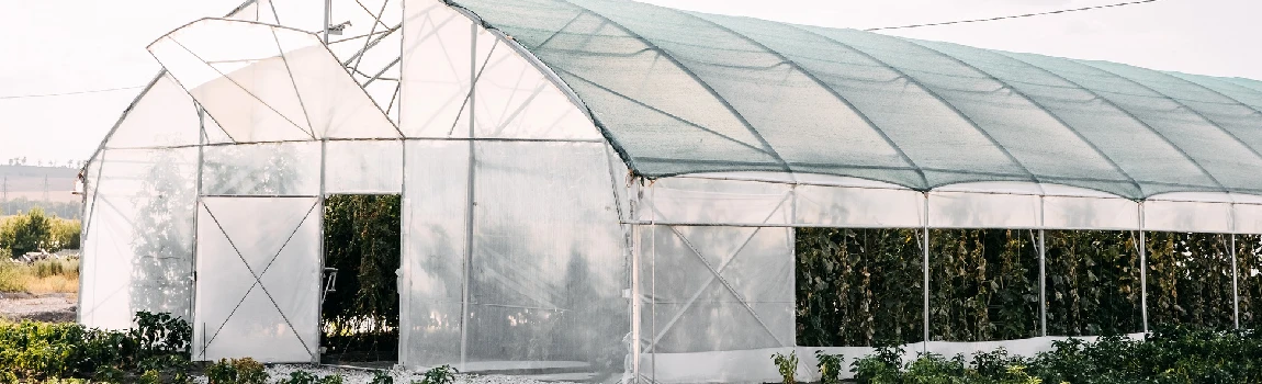 Safe And Reliable Glass Greenhouse in Wellington