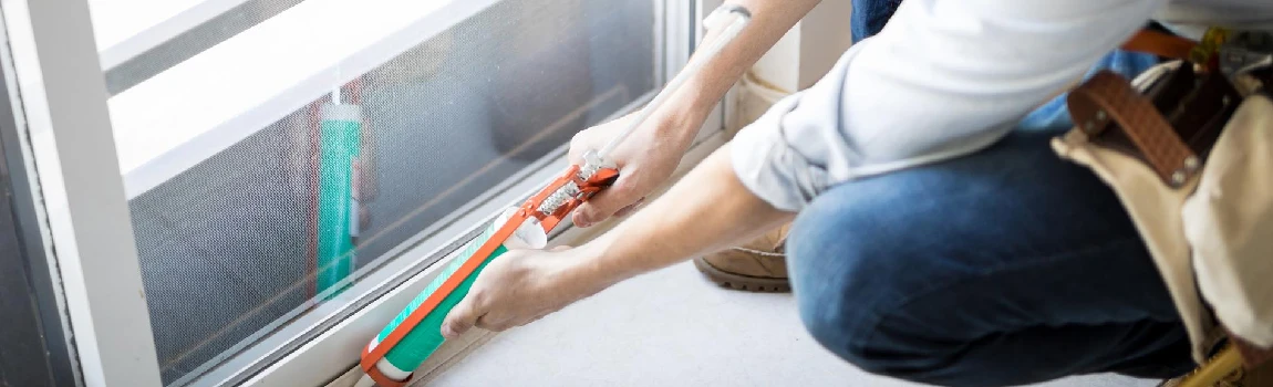 Emergency Window Replacement Services in Wellington